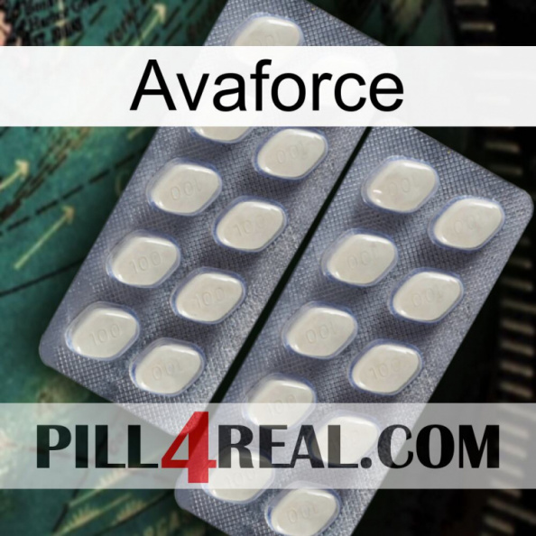 Avaforce 07.jpg